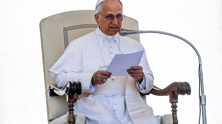 Papa all'udienza generale