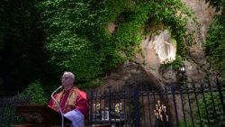 Il Papa nei Giardini vaticani, rosario chiude mese mariano
