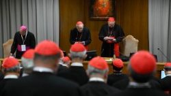 2025.05.06 Cardinalii reuniți în Cetatea Vaticanului înainte de conclav. 